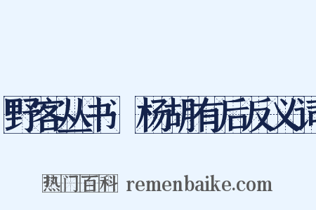 野客丛书·杨胡有后反义词是什么意思的图片